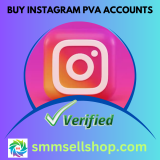 Buy Instagram PVA Accounts