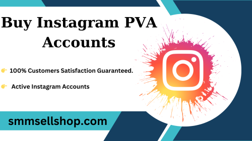 Buy Instagram PVA Accounts