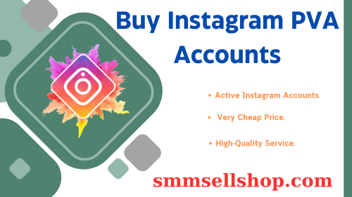 Buy Instagram PVA Accounts